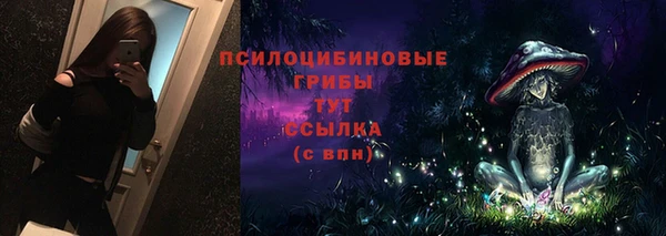 трава Бородино