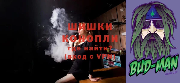 трава Бородино