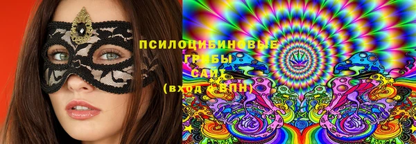 трава Бородино