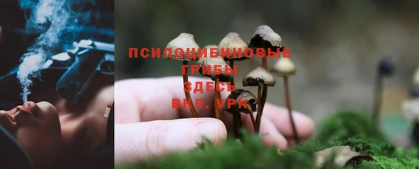 МДМА Бугульма