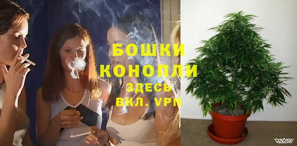 дживик Богданович