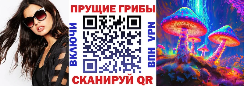 цена наркотик  Козельск  Галлюциногенные грибы MAGIC MUSHROOMS 