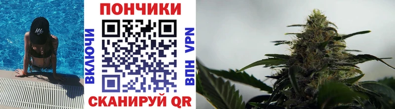 Бошки Шишки ГИДРОПОН  Козельск 